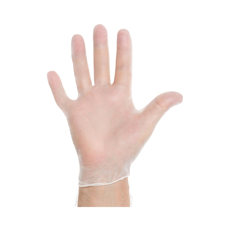 Halyard™ Vinyl Exam Glove, Large, Clear